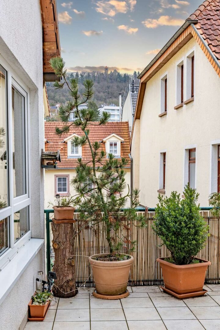 Blick Wachenburg