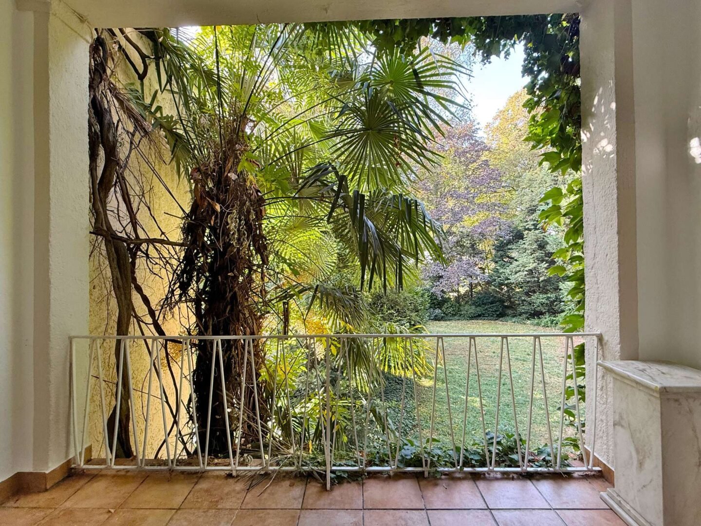Balkon Blick Palmengarten