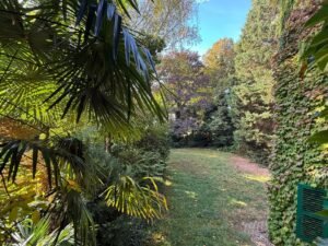 Palmengarten