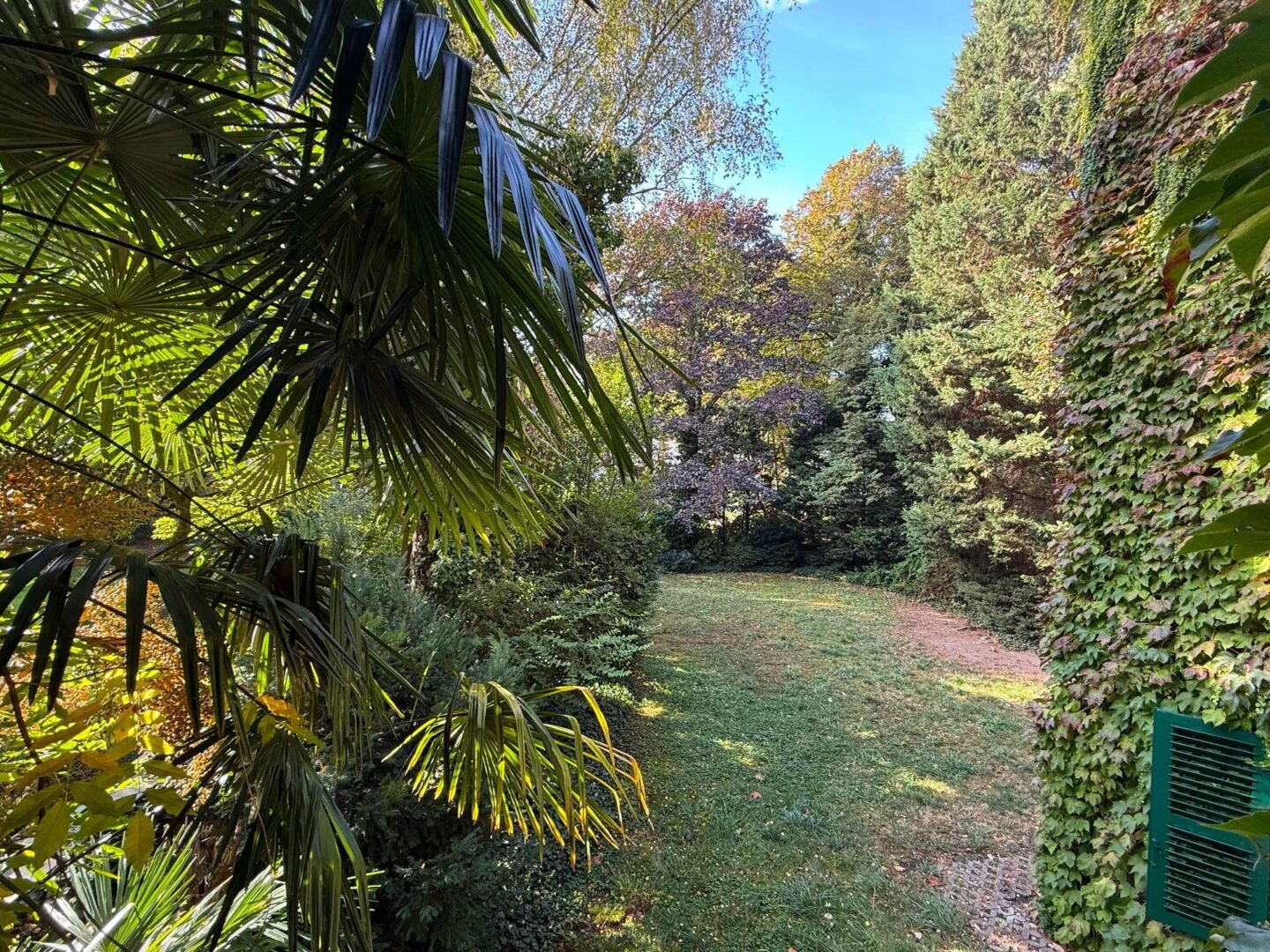 Palmengarten